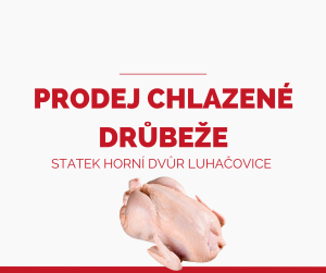 Prodej chlazených kuřat / STATEK HORNÍ DVŮR LUHAČOVICE 1
