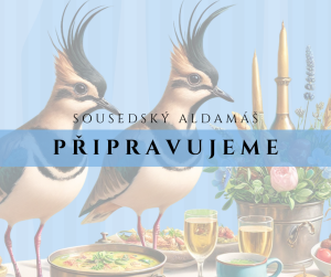 Sousedský aldamáš