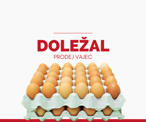 Prodej vajíček, brambor, česneku aj. / PAN DOLEŽAL 1
